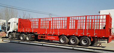 成人91短视频圖片